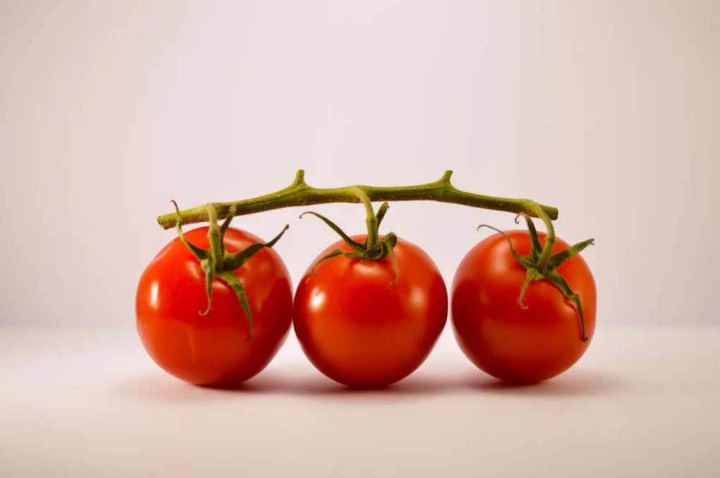 Origin of the Pomodoro Method